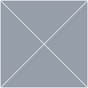 square-img-300x300[1]