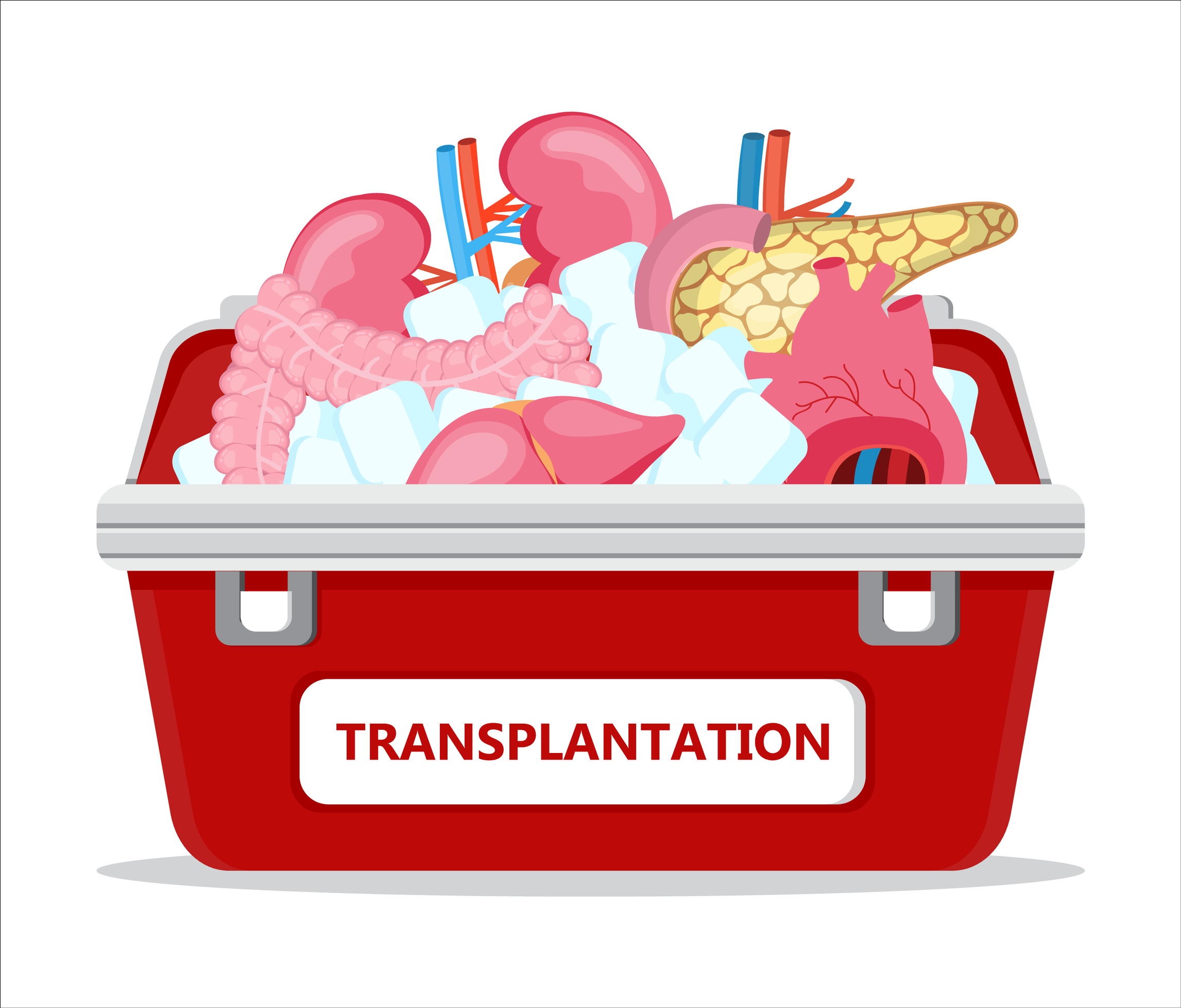 Human,Organ,Donor,Transplantation,Concept,Vector,For,Banner,,Flyer,,Medical