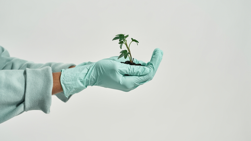 Cropped,Girl,Wearing,Gloves,Holding,Green,Plant,In,Ground ,Ecology