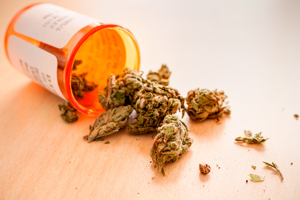 Marijuana,For,Medicinal,Purpose